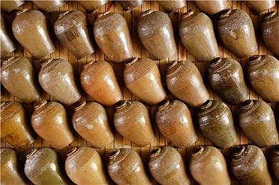 《冰汽时代2》|《执政官101》第八集 城市与殖民地