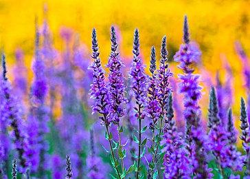 《真三国无双：起源》制作人盛赞玩家击败吕布：这很了不起