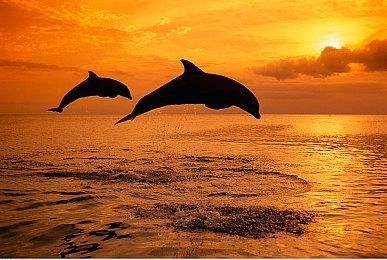 Nacon以3.8亿收购《魔戒：咕噜》开发商Daedalic